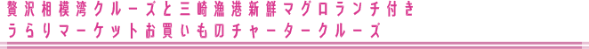 贅沢相模湾クルーズと三崎漁港新鮮マグロランチ付きうらりマーケットお買い物チャータークルーズ